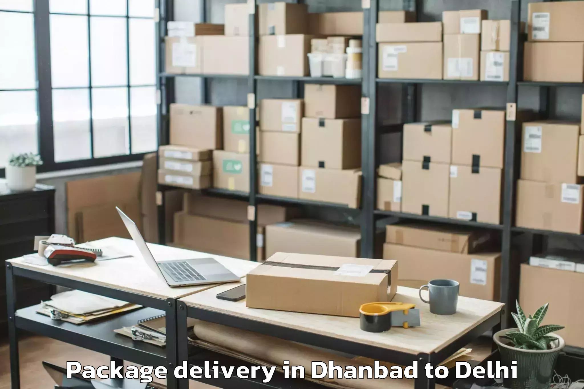 Professional Dhanbad to Delhi Technological University Package Delivery